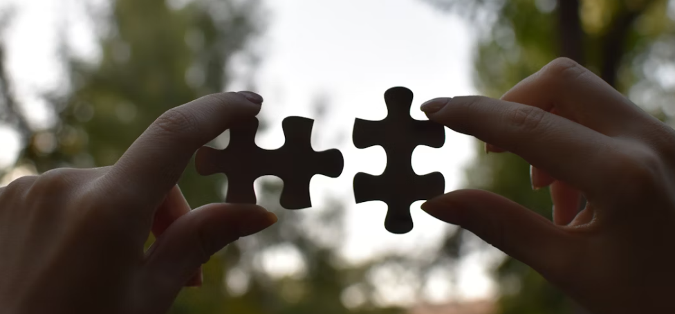 Puzzle piece illustration